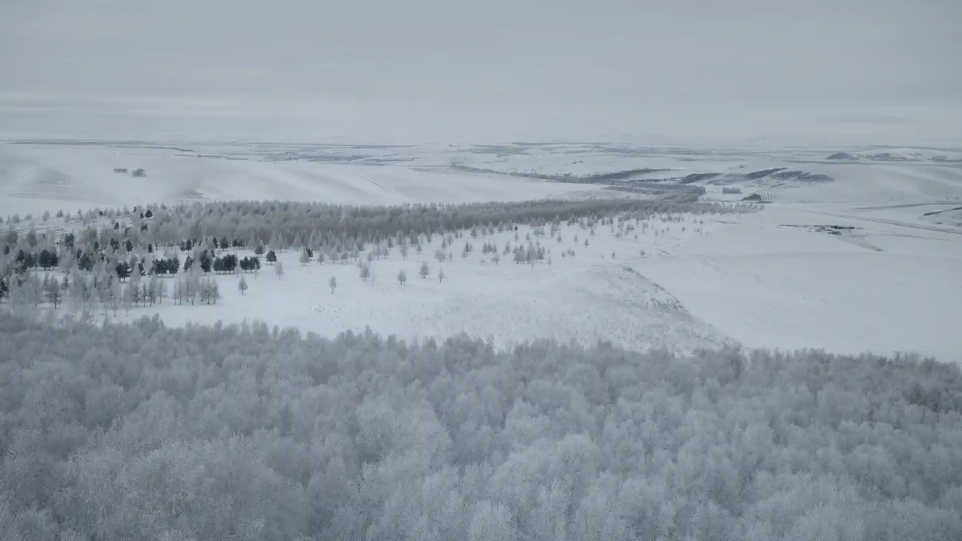 Snowland Express: Chasing the Aurora in Mohe · Beijicun