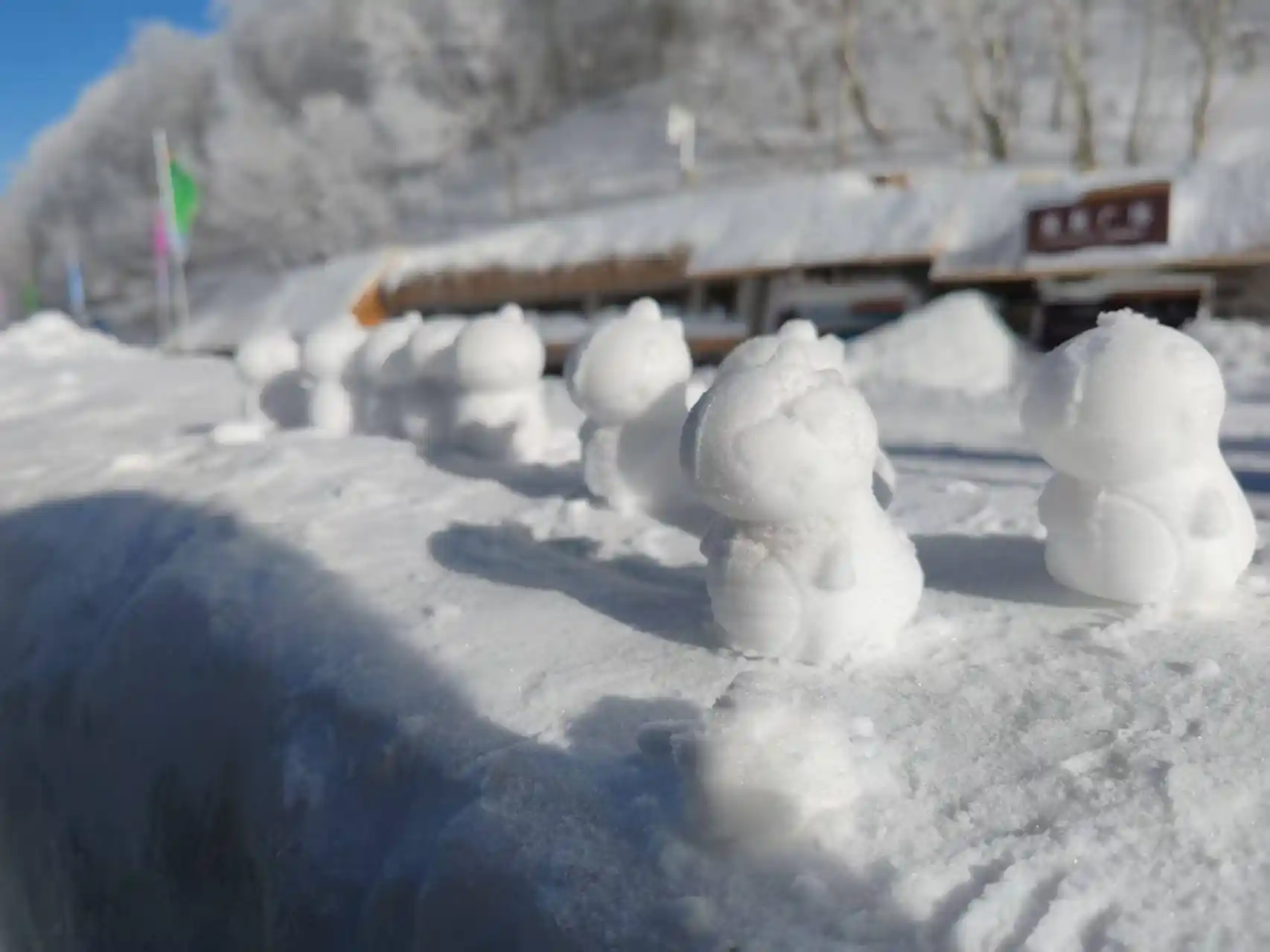 Suburban Harbin – Cultural & Natural Dual Experience