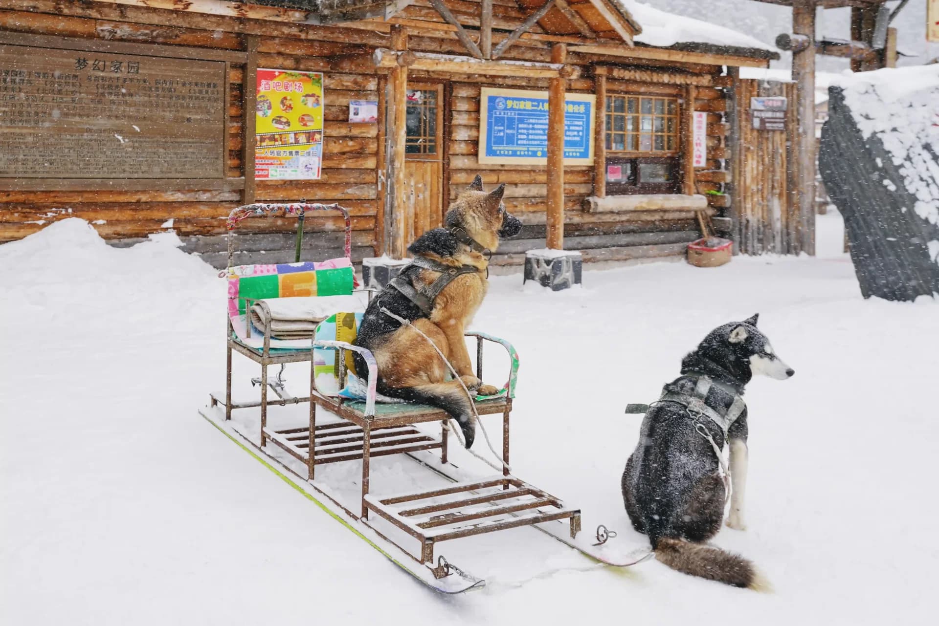 Erdaobaihe → In-Depth Tour of Changbai Mountain North Slope