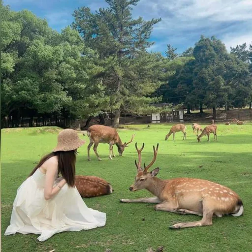 Ivy Wang travel photo